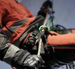 Abbattimento alberi Abbattimento controllato di alberi in Sicilia con calo progressivo dei rami